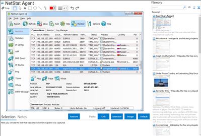 NetStat Agent - Flamory bookmarks and screenshots