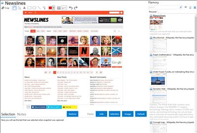 Newslines - Flamory bookmarks and screenshots