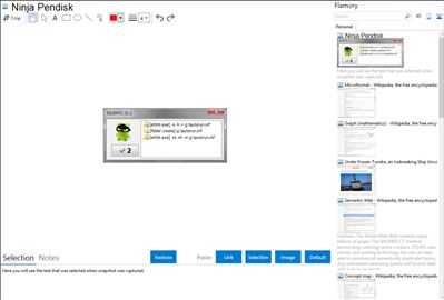 Ninja Pendisk - Flamory bookmarks and screenshots