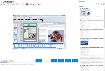 Omnipage - Flamory bookmarks and screenshots