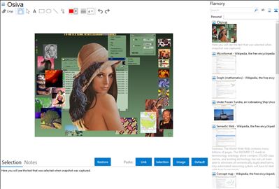 Osiva - Flamory bookmarks and screenshots