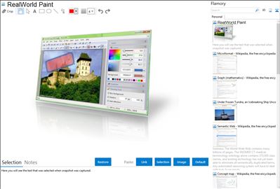 RealWorld Paint - Flamory bookmarks and screenshots