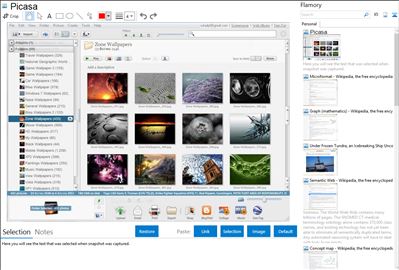 Picasa - Flamory bookmarks and screenshots