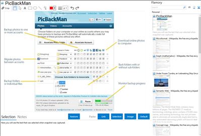 PicBackMan - Flamory bookmarks and screenshots