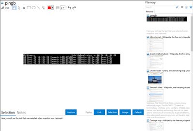 pingb - Flamory bookmarks and screenshots