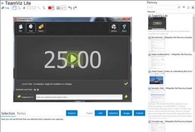 TeamViz Lite - Flamory bookmarks and screenshots