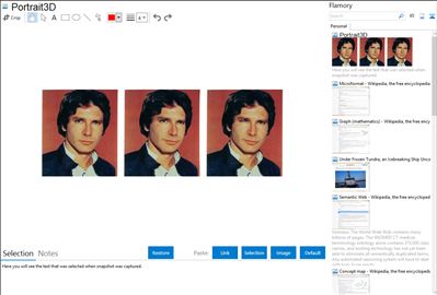 Portrait3D - Flamory bookmarks and screenshots