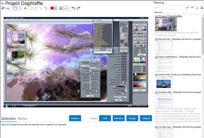 Project DogWaffle - Flamory bookmarks and screenshots