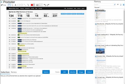 Promoter - Flamory bookmarks and screenshots