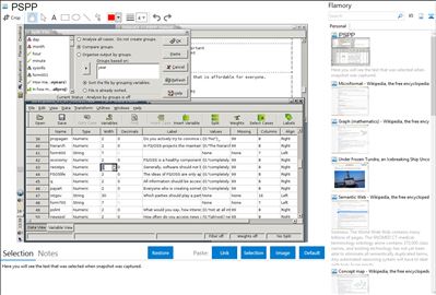 PSPP - Flamory bookmarks and screenshots