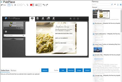 PubPlace - Flamory bookmarks and screenshots
