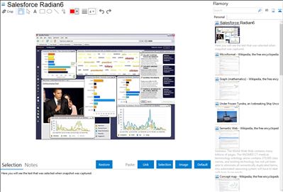 Salesforce Radian6 - Flamory bookmarks and screenshots
