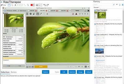 RawTherapee - Flamory bookmarks and screenshots