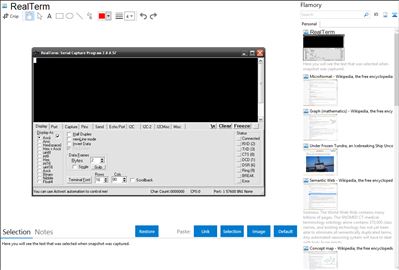 RealTerm - Flamory bookmarks and screenshots