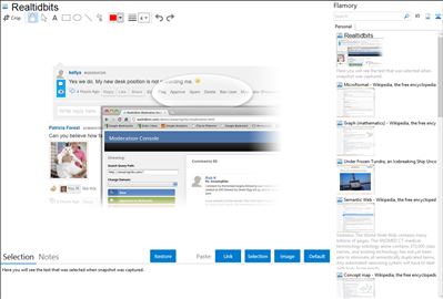 Realtidbits - Flamory bookmarks and screenshots