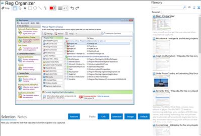 Reg Organizer - Flamory bookmarks and screenshots