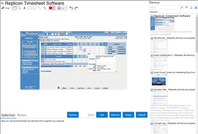 Replicon Timesheet Software - Flamory bookmarks and screenshots