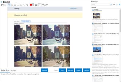 Rollip - Flamory bookmarks and screenshots