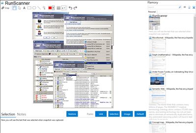 RunScanner - Flamory bookmarks and screenshots