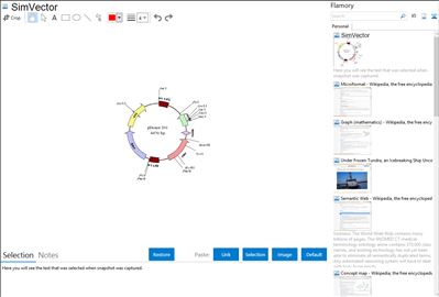 SimVector - Flamory bookmarks and screenshots