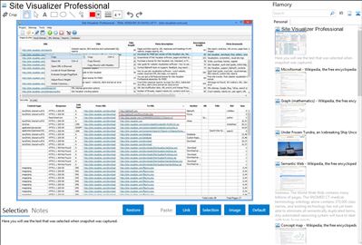 Site Visualizer Professional - Flamory bookmarks and screenshots