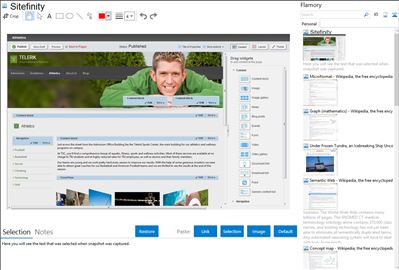 Sitefinity - Flamory bookmarks and screenshots