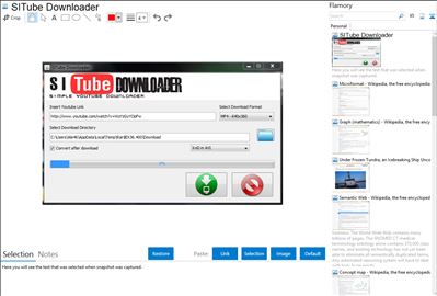 SITube Downloader - Flamory bookmarks and screenshots