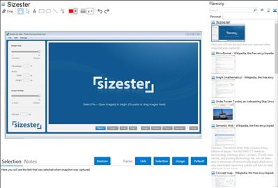 Sizester - Flamory bookmarks and screenshots