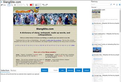 SlangSite.com - Flamory bookmarks and screenshots