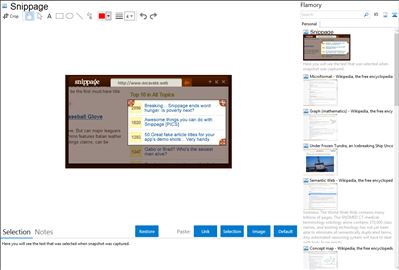 Snippage - Flamory bookmarks and screenshots