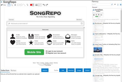 SongRepo - Flamory bookmarks and screenshots