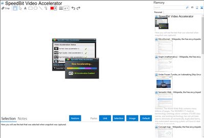 SpeedBit Video Accelerator - Flamory bookmarks and screenshots