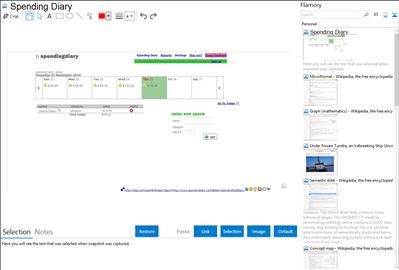 Spending Diary - Flamory bookmarks and screenshots