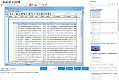 SQLite Expert - Flamory bookmarks and screenshots
