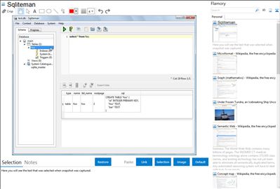 Sqliteman - Flamory bookmarks and screenshots