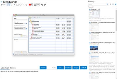 Steadycrypt - Flamory bookmarks and screenshots