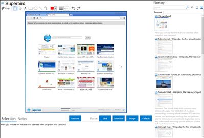Superbird - Flamory bookmarks and screenshots