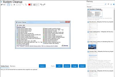 System Cleanup - Flamory bookmarks and screenshots