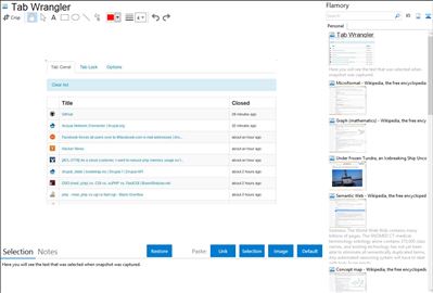 Tab Wrangler - Flamory bookmarks and screenshots