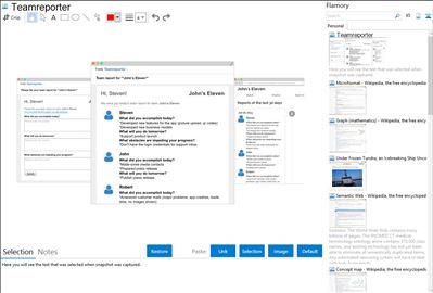 Teamreporter - Flamory bookmarks and screenshots