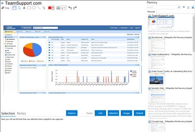 TeamSupport.com - Flamory bookmarks and screenshots
