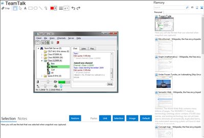 TeamTalk - Flamory bookmarks and screenshots