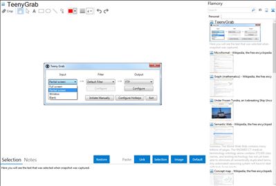 TeenyGrab - Flamory bookmarks and screenshots