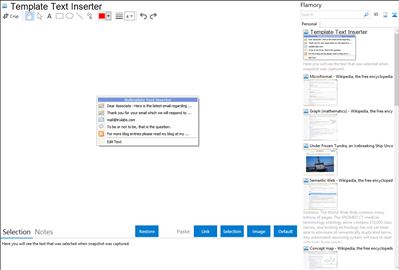 Template Text Inserter - Flamory bookmarks and screenshots