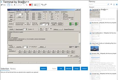 Terminal by Bra@y++ - Flamory bookmarks and screenshots