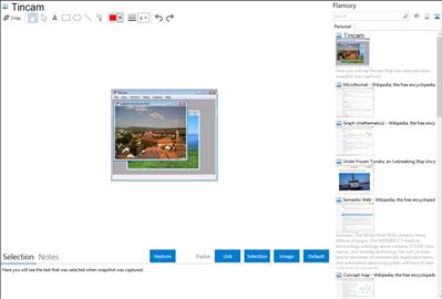 Tincam - Flamory bookmarks and screenshots