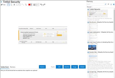 Tinfoil Security - Flamory bookmarks and screenshots