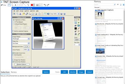 TNT Screen Capture - Flamory bookmarks and screenshots