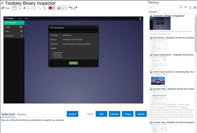 Toolsley Binary Inspector - Flamory bookmarks and screenshots