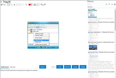 TrayIt! - Flamory bookmarks and screenshots